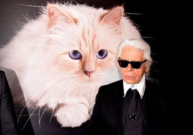 Karl Lagerfeld et sa chatte Choupette.